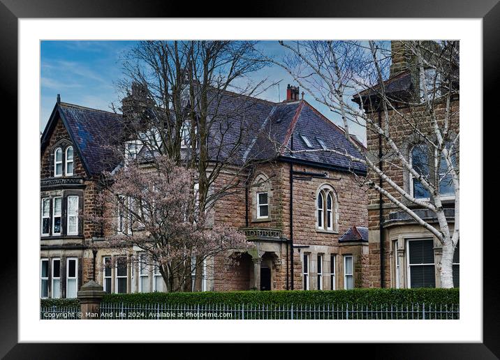 Traditional stone houses with slate roofs surrounded by bare trees and early spring blossoms under a clear blue sky in Harrogate, North Yorkshire. Framed Mounted Print by Man And Life