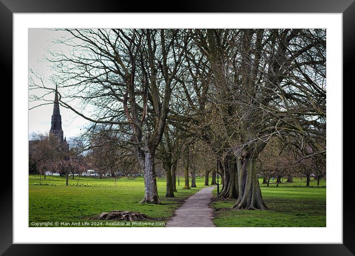 Serene park pathway lined with bare trees leading towards a distant church spire, with lush green grass and a tranquil atmosphere, suitable for themes of nature, peace, and solitude in Harrogate, North Yorkshire. Framed Mounted Print by Man And Life