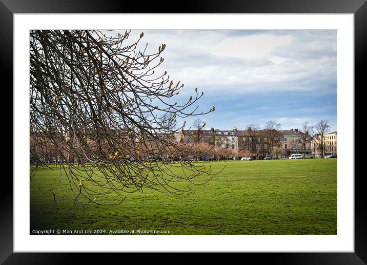 Early spring scenery with budding branches in the foreground and a lush green park leading to a row of urban buildings under a dynamic cloudy sky in Harrogate, North Yorkshire. Framed Mounted Print by Man And Life