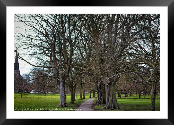 Serene park pathway lined with bare trees in early spring, with lush green grass on either side, hinting at the onset of new growth and natural beauty in Harrogate, North Yorkshire. Framed Mounted Print by Man And Life