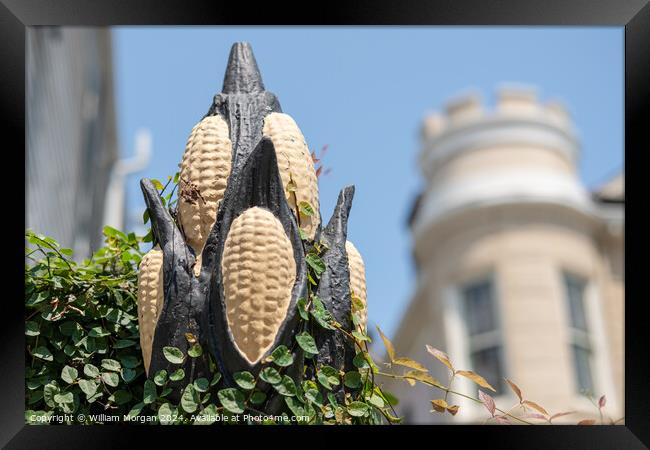 Cornstalk Fence in the French Quarter  Framed Print by William Morgan