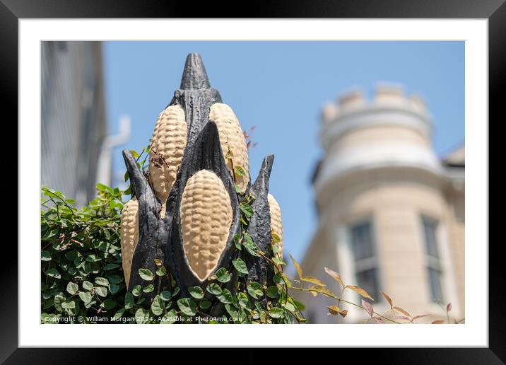 Cornstalk Fence in the French Quarter  Framed Mounted Print by William Morgan