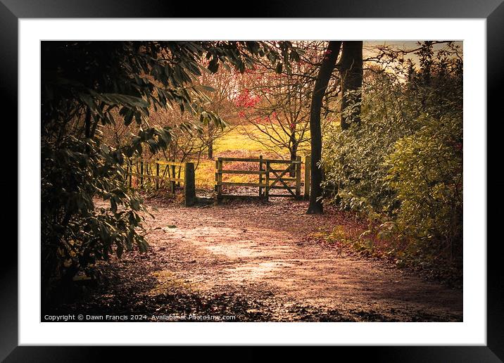 Walk with me  Framed Mounted Print by Dawn Francis