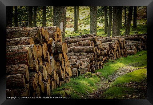 Logs stacked neatly Framed Print by Dawn Francis