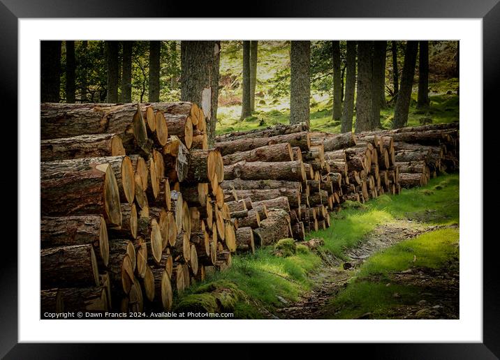 Logs stacked neatly Framed Mounted Print by Dawn Francis