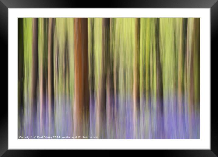 Bluebell icm pastel blur in West Woods Framed Mounted Print by Paul Edney