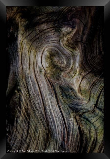 Curves in driftwood on Ynyslas Beach, Wales Framed Print by Paul Edney