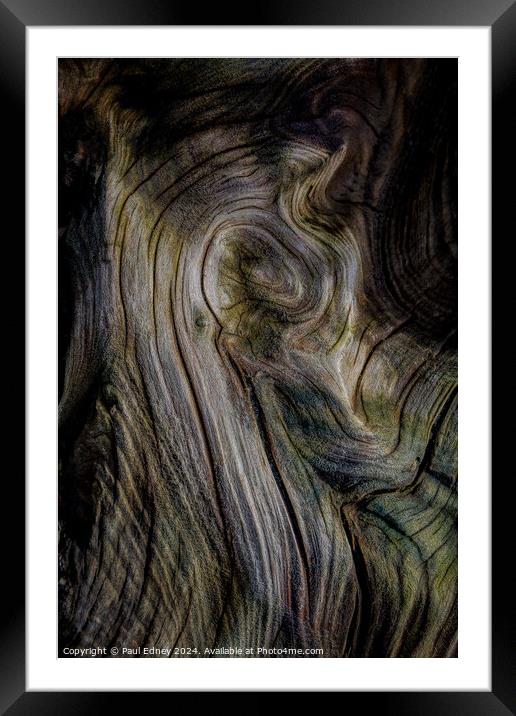 Curves in driftwood on Ynyslas Beach, Wales Framed Mounted Print by Paul Edney