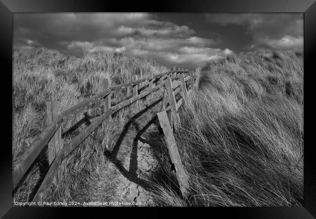 Path through the dunes Framed Print by Paul Edney