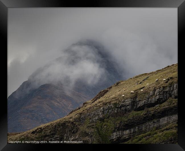 Sheep on the edge, Isle of Skye, Scotland Framed Print by Paul Edney