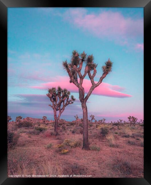 Dreamy Pastel Sunset in Joshua Tree Framed Print by Tom Windeknecht