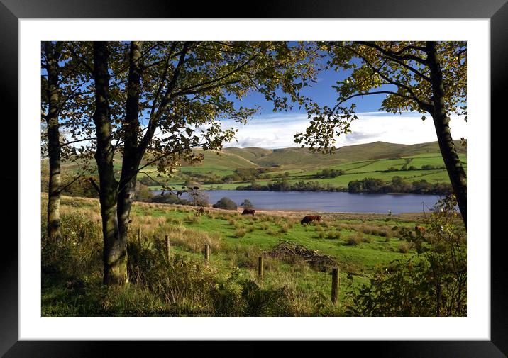 Overwater Tarn on Caldbeck Common, Lake District, Cumbria. Framed Mounted Print by Phil Brown