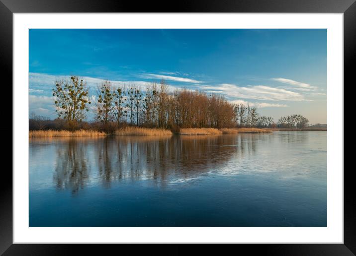 Reflection of trees in a frozen lake Framed Mounted Print by Dariusz Banaszuk