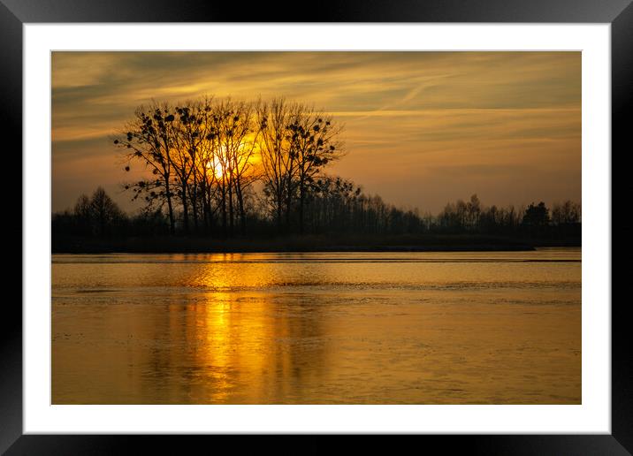 Golden sunset behind trees over a frozen lake Framed Mounted Print by Dariusz Banaszuk