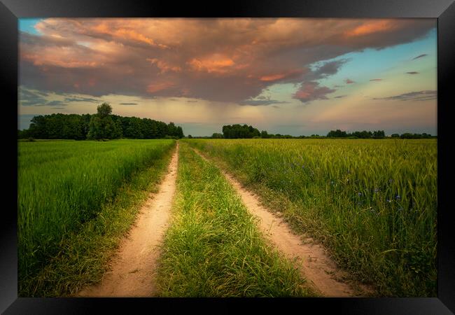 Dirt road through green fields and clouds during sunset Framed Print by Dariusz Banaszuk