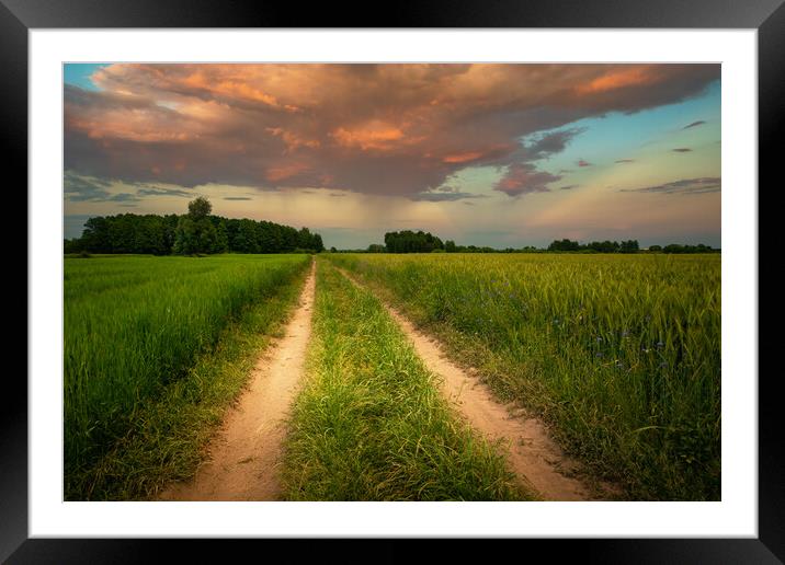 Dirt road through green fields and clouds during sunset Framed Mounted Print by Dariusz Banaszuk