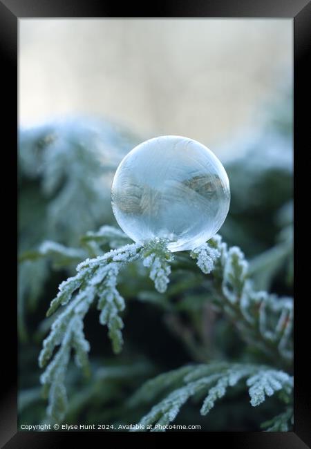 Frozen bubble Framed Print by Elyse Hunt