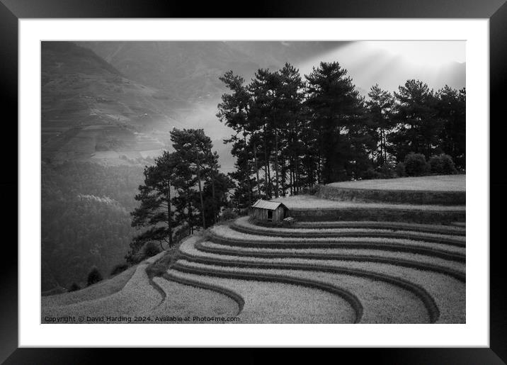 Curving Rice Terraces in Black and White Framed Mounted Print by David Harding