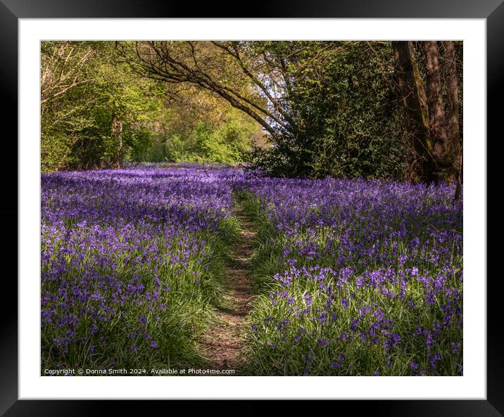 Bluebells  Framed Mounted Print by Donna Smith