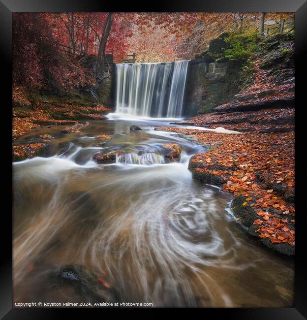 Autumn Colour's - Llangollen Wales  Framed Print by Royston Palmer