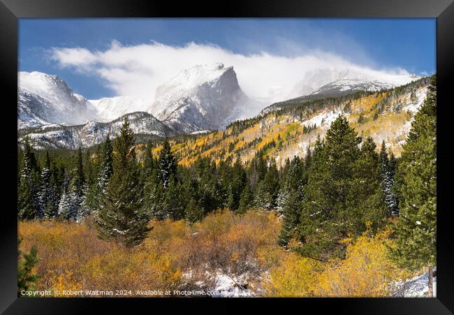 Early Fall Storm with Changing Aspen Trees at Rocky Mountain National Park Framed Print by Robert Waltman