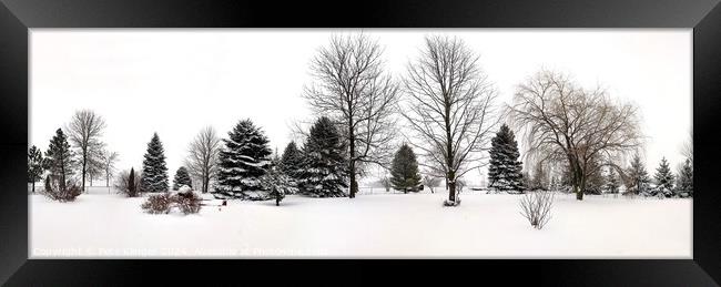 Winter Snow Panorama Framed Print by Pete Klinger