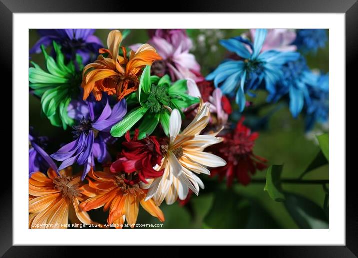 Bright Colored Spring Flowers Framed Mounted Print by Pete Klinger