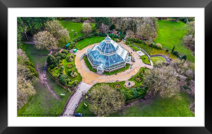 The Palmhouse Framed Mounted Print by Harry Fairbrother