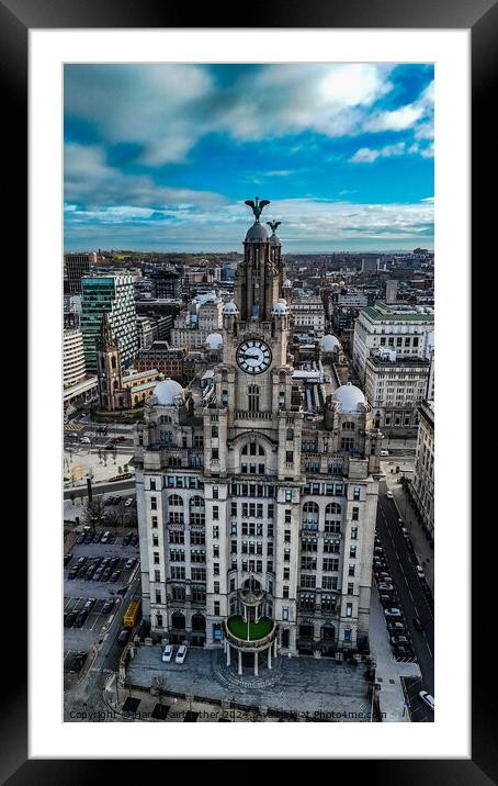 Liverbirds Framed Mounted Print by Harry Fairbrother