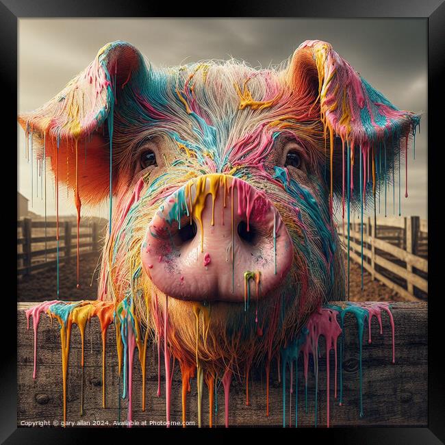 Farmyard Pig Framed Print by gary allan
