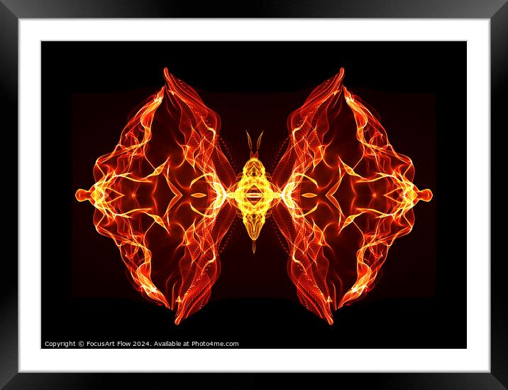 Butterfly Series: Fiery butterfly Framed Mounted Print by FocusArt Flow