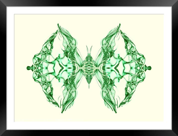Butterfly Series: Emerald Green Symmetrical Butterfly Framed Mounted Print by FocusArt Flow