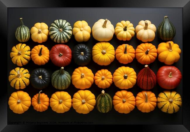 Top view at different pumpkins Framed Print by Mirjana Bogicevic