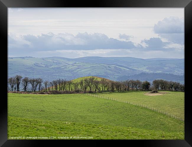 Stapeley Hill Framed Print by Average Images
