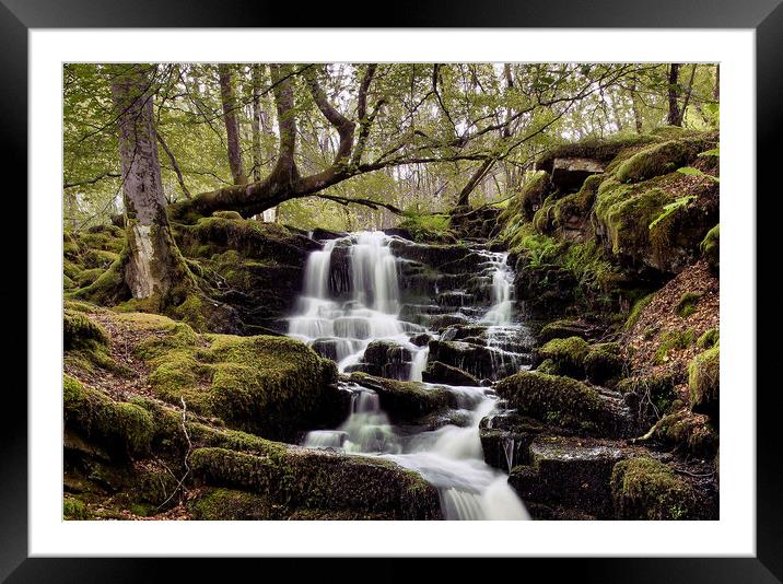 The Birks of Aberfeldy Framed Mounted Print by Karl Oparka