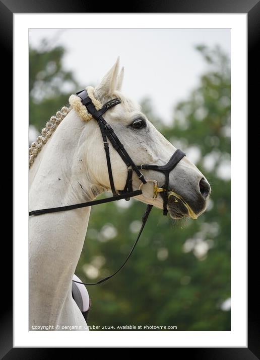 A close up of a horse Framed Mounted Print by Benjamin Gruber