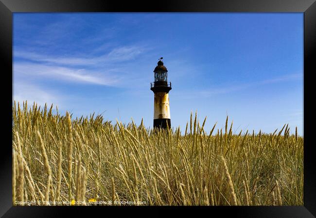 Cape Pembroke Lighthouse  Framed Print by Tiphanie May