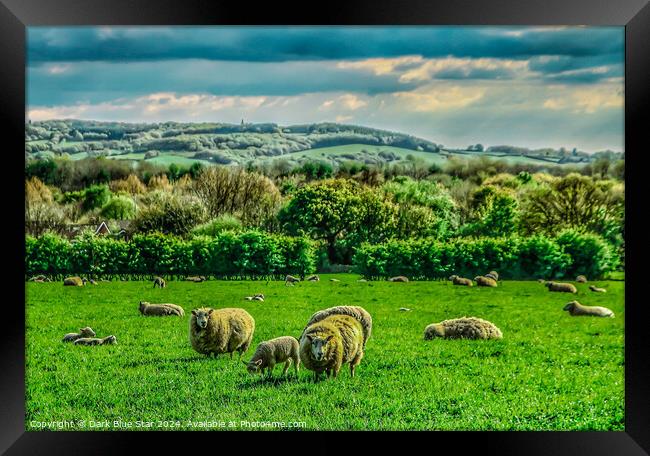 The West Lancashire Countryside Framed Print by Dark Blue Star