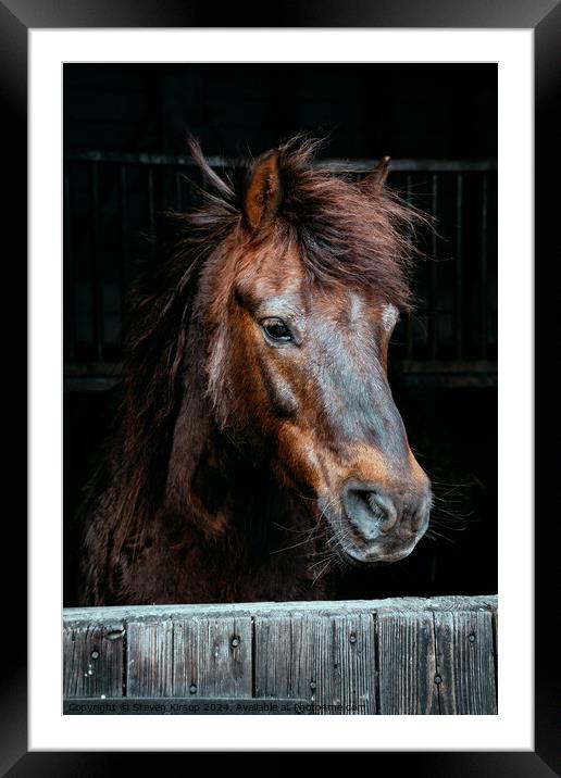 Brown Mare  Framed Mounted Print by Steven Kirsop