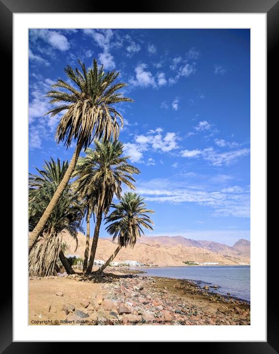 Palms on a Dahab, Egypt beach Framed Mounted Print by Robert Galvin-Oliphant