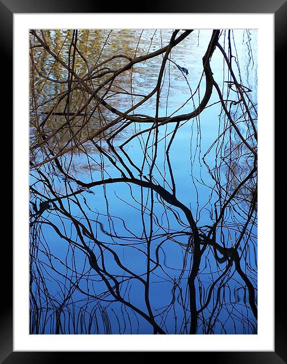 Reflection Framed Mounted Print by val butcher