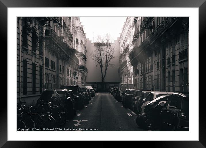 Lone tree in the middle of Paris Framed Mounted Print by Justo II Gayad