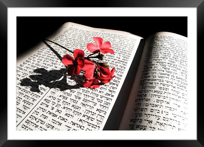 Jewish religious book Framed Mounted Print by PhotoStock Israel