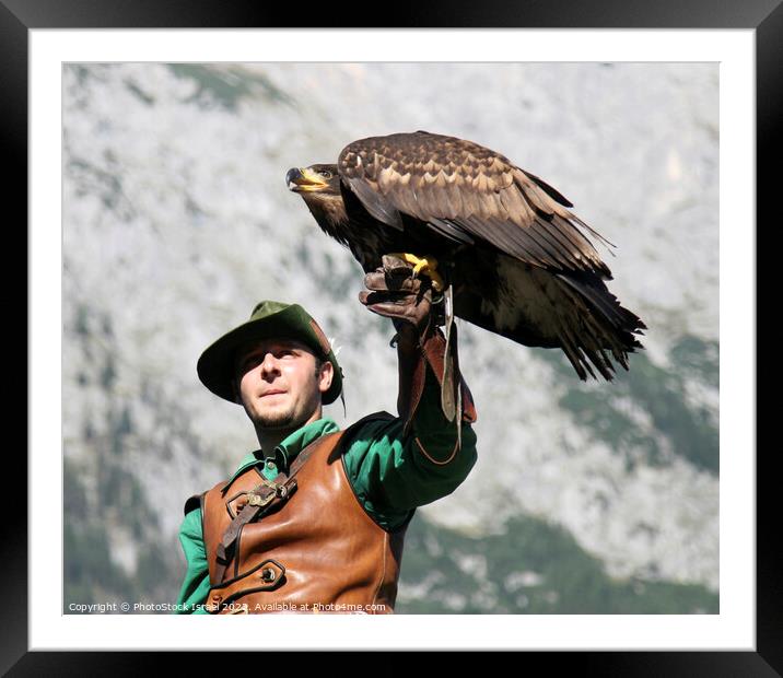 Austria falcon show Framed Mounted Print by PhotoStock Israel