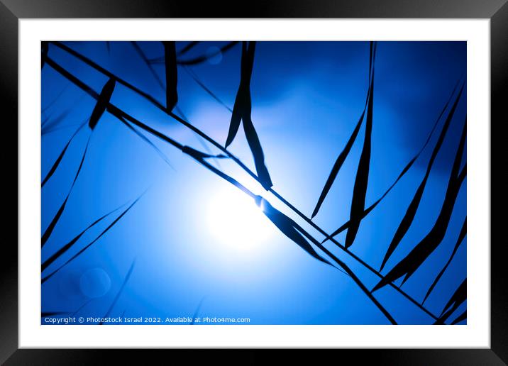 environmental concept,  Framed Mounted Print by PhotoStock Israel