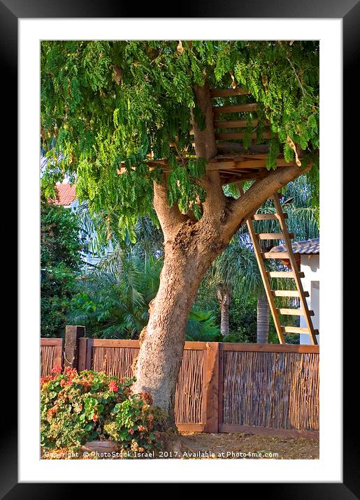 Tree house Framed Mounted Print by PhotoStock Israel