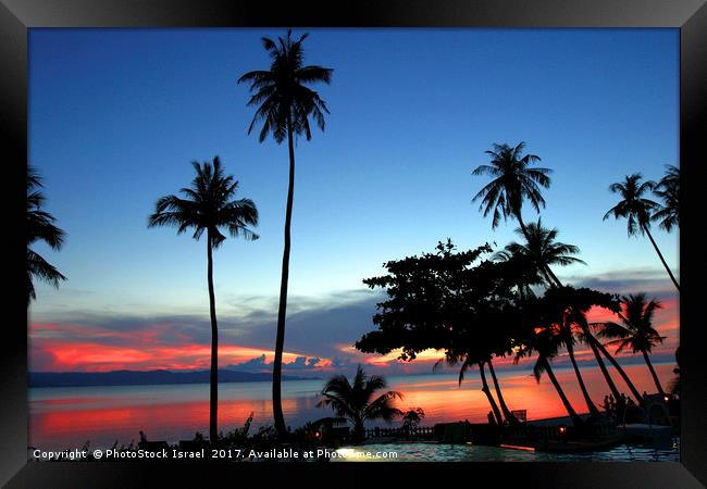 palm trees at sun set Koh Phangan Thailand Framed Print by PhotoStock Israel