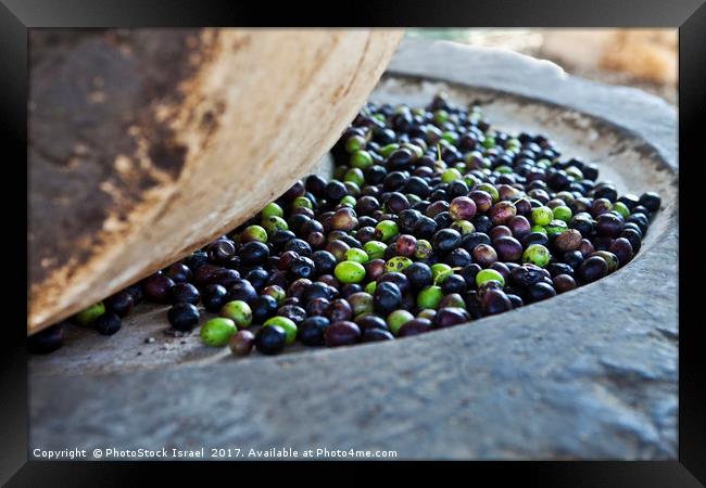 Olives in stone press Framed Print by PhotoStock Israel