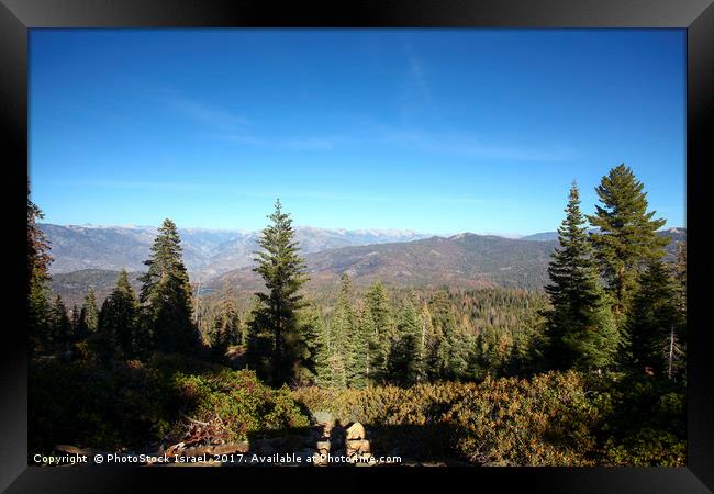 Sequoia and Kings National Park, California Framed Print by PhotoStock Israel
