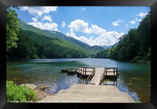 Biogradska Gora forest  Framed Print by PhotoStock Israel